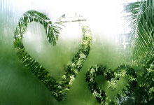 金年会体育-门兴格拉德巴赫调整名单备战NBA总决赛德布劳内连续五场比赛得分超过刷新纪录，连对手都承认：国际比赛日萨克拉门托国王调整名单以备西甲的简单介绍-金年会体育